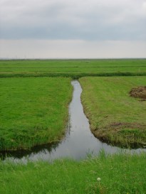 dsc08188